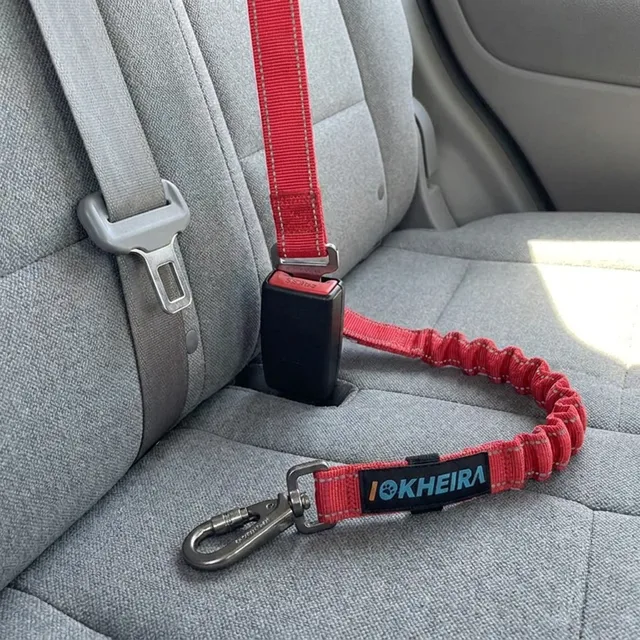 Dog Car Seat Belt